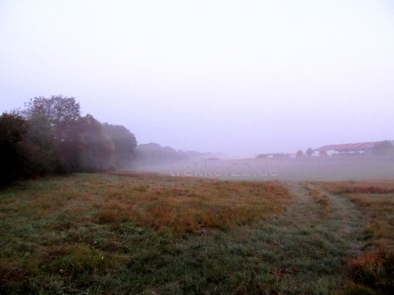 Nebelbilder