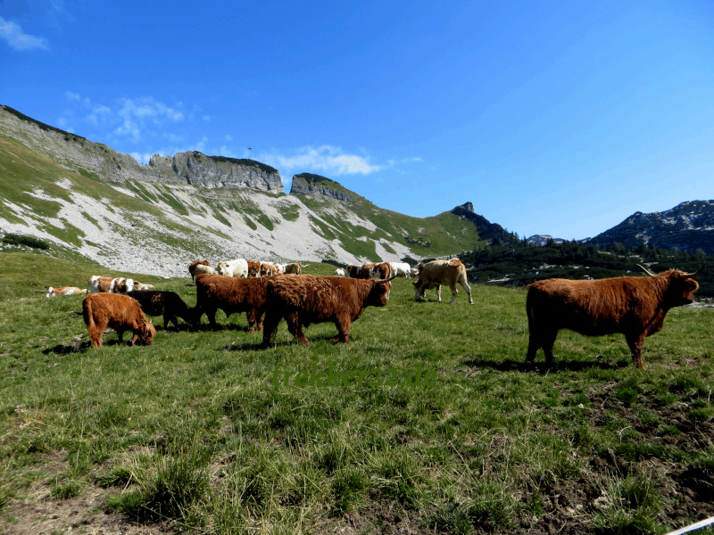 Alpenwandern