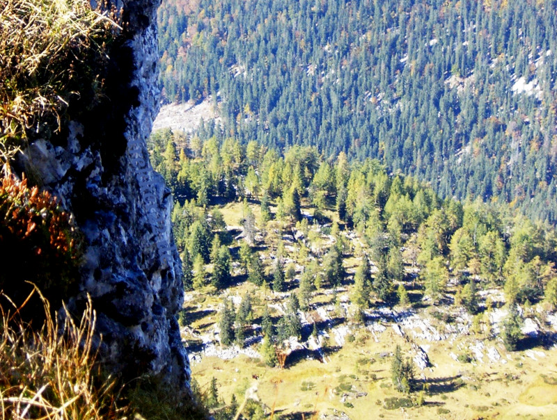 Alpenwandern