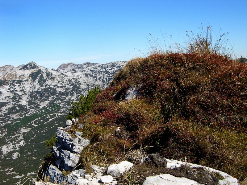 Alpenwandern