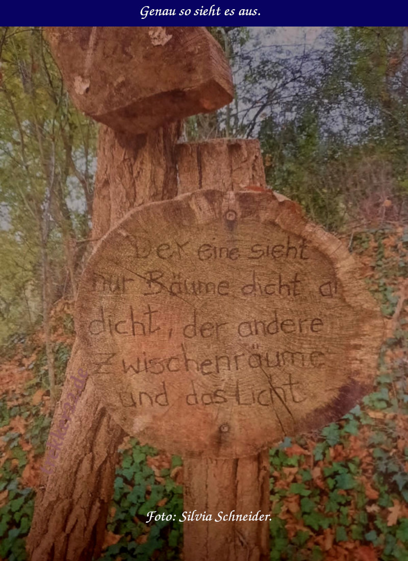 Waldfunde