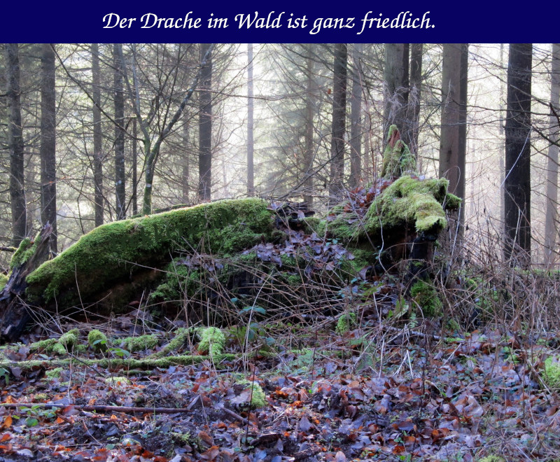Waldfunde