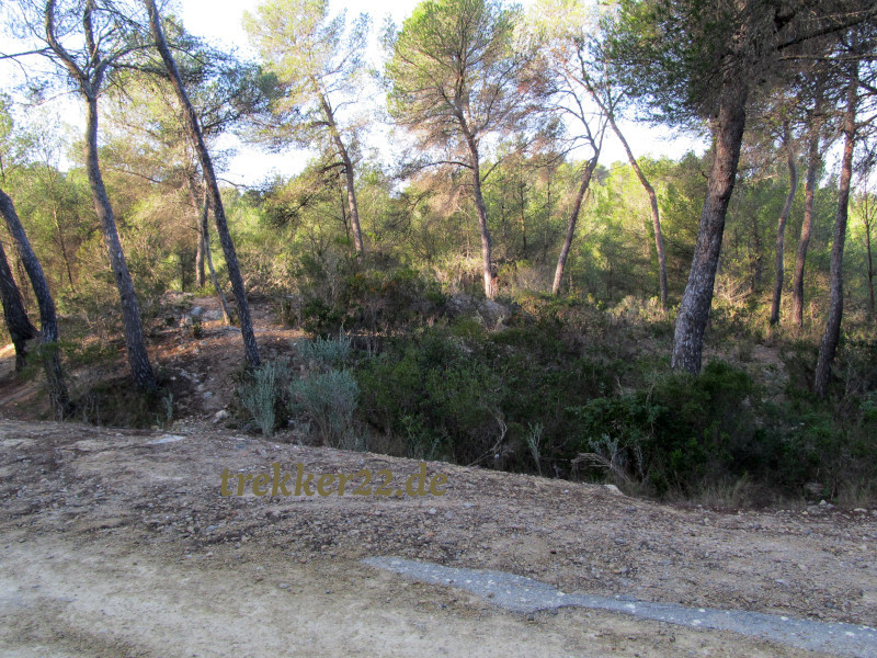 Mallorca