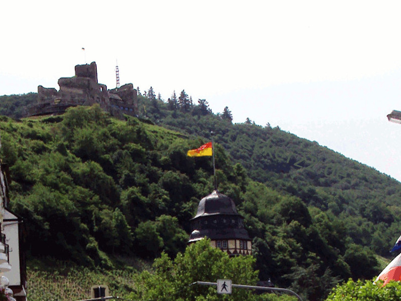Burg Landshut